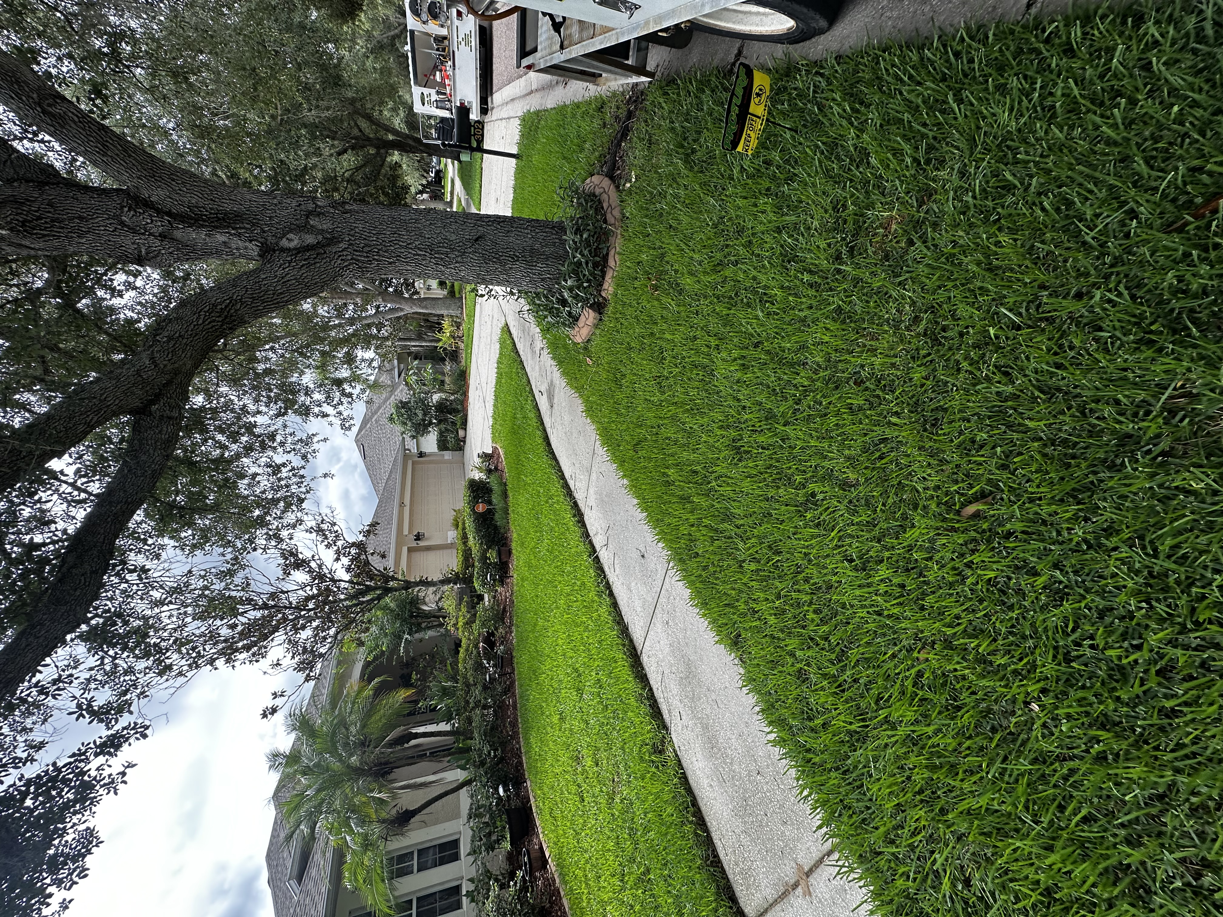 Corner-lot lawn treated by ProTurf in Valrico
