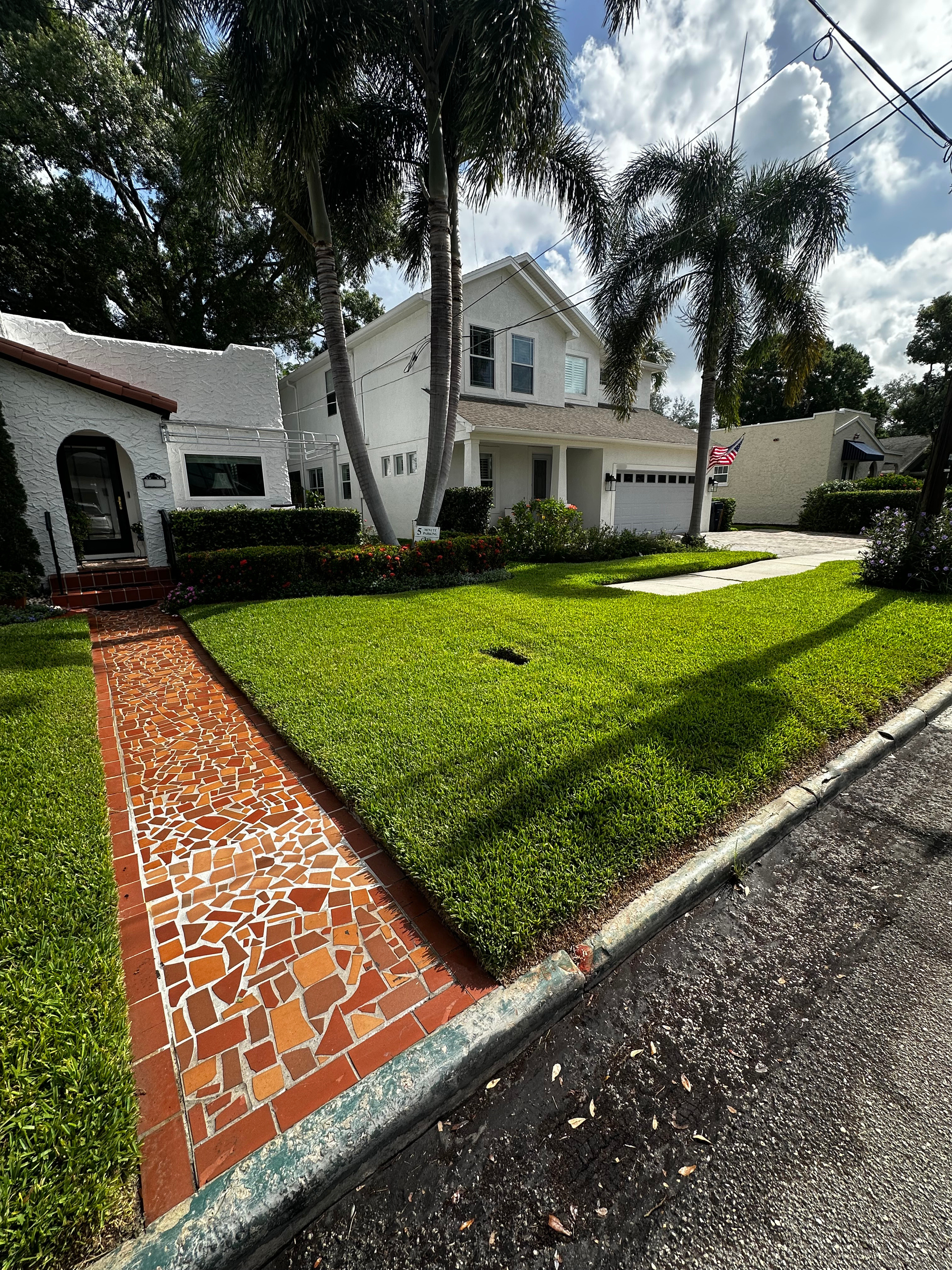A ProTurf-treated St. Augustine lawn in Hyde Park, South Tampa