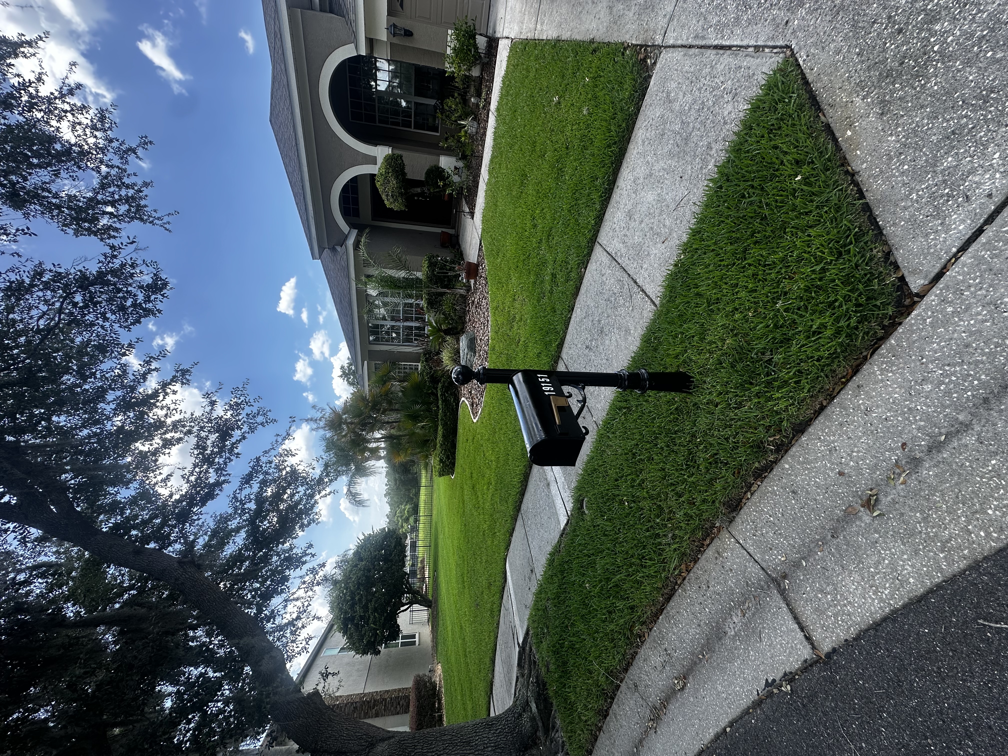 Treated yard with ProTurf sign in Brandon