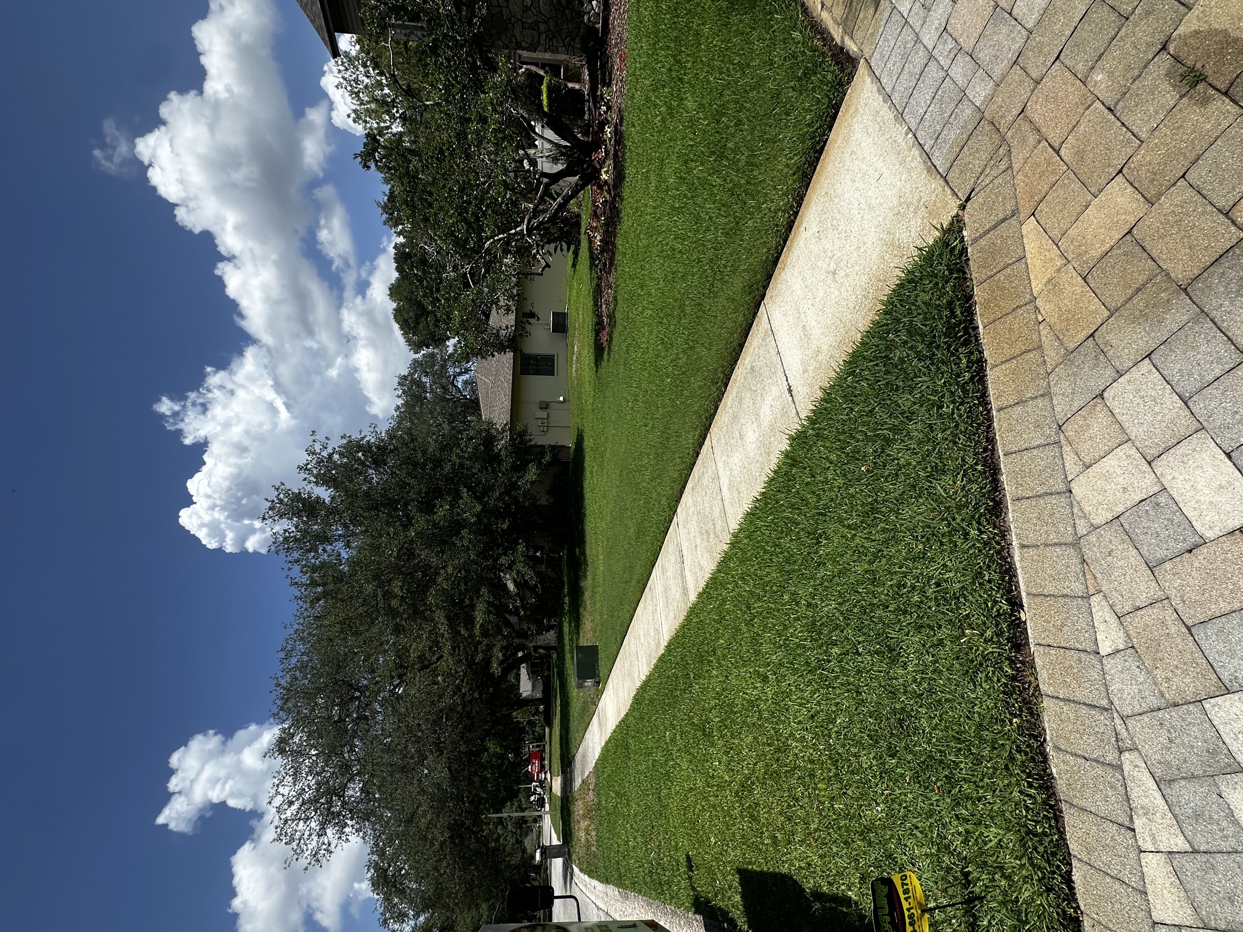 Large treated lawn in Lithia